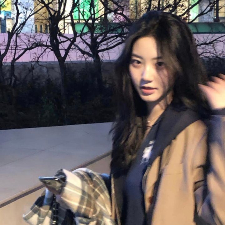 妖兽大蚂蚁